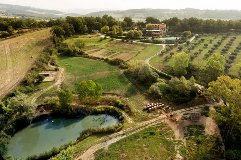 Agriturismi Fuori Roma (nel Lazio) Per Un Pranzo O Un Weekend