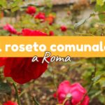 roseto comunale roma